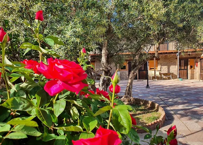Albergue El Solitario